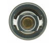 Termostat chladenia MOTORAD 204-82