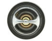 Termostat chladenia MOTORAD 483-91K