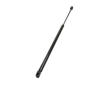 Pneumaticka pruzina, zavazadlovy / nakladovy prostor MAXGEAR 12-2640