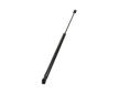 Pneumaticka pruzina, zavazadlovy / nakladovy prostor MAXGEAR 12-2648