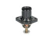Termostat, chladivo THERMOTEC D2C004TT