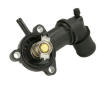 Termostat, chladivo THERMOTEC D2D003TT