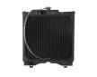 Chladič, chlazení motoru THERMOTEC D7AG132TT