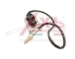 NOx-sensor, NOx-katalyzator XXLMARMITTEITALIANE NX016