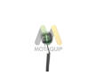 Lambda sonda MOTAQUIP LVOS1437