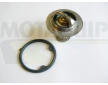 Termostat, chladivo MOTAQUIP VTK109