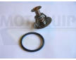 Termostat, chladivo MOTAQUIP VTK113