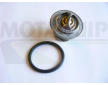 Termostat, chladivo MOTAQUIP VTK65