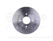 Brzdový kotouč HELLA PAGID 8DD 355 110-931