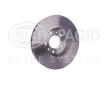 Brzdový kotouč HELLA PAGID 8DD 355 113-661