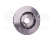 Brzdový kotouč HELLA PAGID 8DD 355 116-091