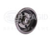 Brzdový buben HELLA PAGID 8DT 355 300-161