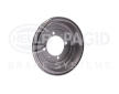 Brzdový buben HELLA PAGID 8DT 355 300-841