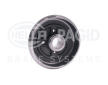 Brzdový buben HELLA PAGID 8DT 355 301-071