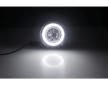 Mlhovka ABAKUS L32-200-001LED