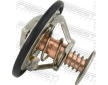Termostat, chladivo FEBEST 01462-006
