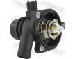 Termostat, chladivo FEBEST 10462-007