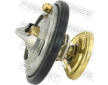 Termostat, chladivo FEBEST 16462-004