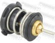 Termostat, chladivo FEBEST 23462-002
