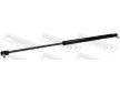 Pneumaticka pruzina, kapota motoru FEBEST 42117-003