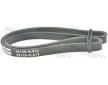 ozubený klínový řemen FEBEST 88126-4L813