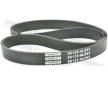 ozubený klínový řemen FEBEST 88128-6L883