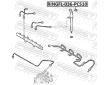 Tesnici krouzek, vstrikovani FEBEST RINGFL-036-PCS10