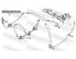 Tesnici krouzek, servocerpadlo FEBEST RINGOL-030-PCS10