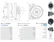 Alternátor AS-PL A0778(SEG)