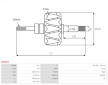 Rotor, generátor AS-PL AR1003