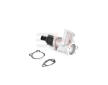 AGR-Ventil GH GH-733641