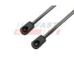 Pneumaticka pruzina, zavazadlovy / nakladovy prostor FAST FT00187K
