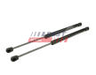 Pneumaticka pruzina, zavazadlovy / nakladovy prostor FAST FT00192K