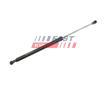 Pneumaticka pruzina, zavazadlovy / nakladovy prostor FAST FT00199
