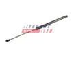 Pneumaticka pruzina, zavazadlovy / nakladovy prostor FAST FT00199