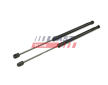 Pneumaticka pruzina, zavazadlovy / nakladovy prostor FAST FT00203K