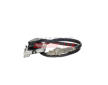 NOx-sensor, NOx-katalyzator FAST FT11910