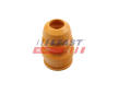 Zarazka, odpruzeni FAST FT12553