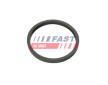 Těsnicí kroužek, chladič oleje (mazání) FAST FT49924