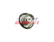 Termostat, chladivo FAST FT58200