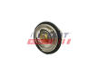 Termostat, chladivo FAST FT58200