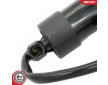 Elektromotor, zadní dveře ESEN SKV 52SKV300