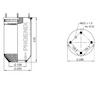 Mech, pneumatické odpružení PHOENIX 1 D 28 A-5 NP