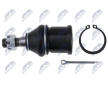 Zvislý/nosný čap NTY ZSG-NS-007
