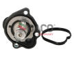 Termostat, chladivo DACO Germany TT1000
