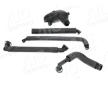 Reparatursatz, Kurbelgehäuseentlüftung AIC 56899Set