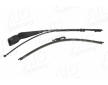 Rameno sterace, cisteni skel AIC 75001