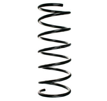 Pružina podvozku SPIDAN 55174