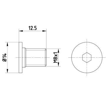 Skrutka brzdového kotúča HELLA 8DZ 355 209-021