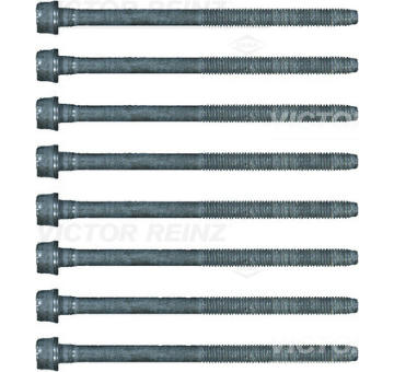 Sada sroubu pro hlavy valcu VICTOR REINZ 14-17428-02